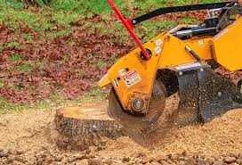Best Utility Line Clearance  in Panther Valley, NJ